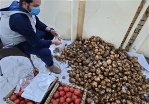 بالجهود الذاتية.. توزيع مواد غذائية وطبية على الأسر المعزولة بسنتريس في المنوفية