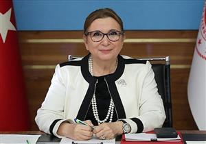 "خطوة حاسمة".. تركيا وبريطانيا ستوقعان على اتفاقية للتجارة الحرة