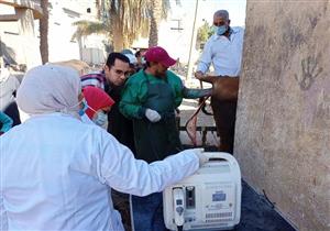 "الزراعة": فحص وتحصين أكثر من 4 آلاف رأس ماشية بالمجان في قنا