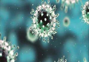 استشاري وبائيات: لا مجال للذعر من فيروس "يارا"