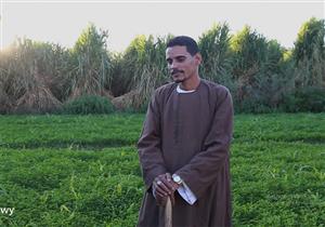 ترك الزرع.. حكاية الريس قط مع الموال   