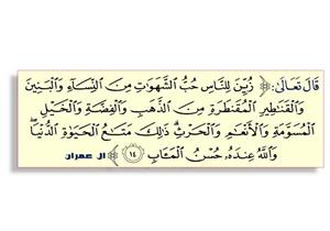 "زُيِّنَ لِلنَّاسِ حُبُّ الشَّهَوَاتِ" فكيف المخرج من ذلك؟.. 3 خطوات يوضحها علي جمعة