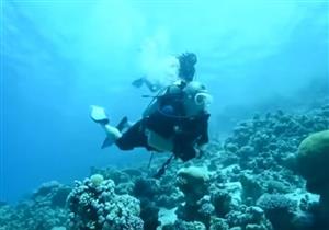 ملك الأردن وولي عهده يجمعان النفايات من أعماق خليج العقبة- فيديو