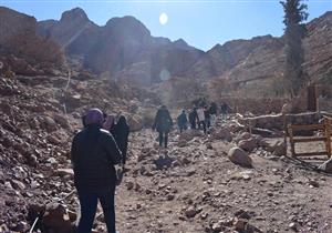 بالصور- معسكر بيئي يرصد النباتات النادرة في محميات سانت كاترين