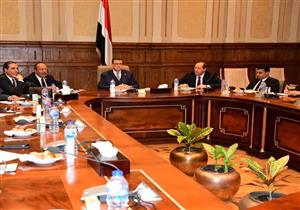 "مستقبل وطن" يشارك في جلسة استماع حول دعم توجه الدولة لأفريقيا