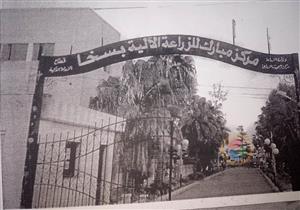  بعد 20 عامًا.. جنايات كفر الشيخ تفصل في أقدم قضية اختلاس