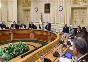 لتأمين احتياجات الدولة.. الحكومة توافق على خطة تصنيع وتجميع مشتقات بلازما الدم