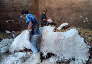 بالصور- رئيس حديقة الحيوان يكشف تفاصيل تحنيط الفيلة "نعيمة"