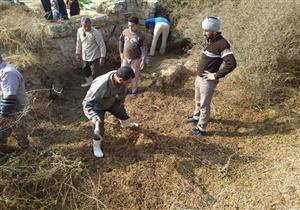 بالصور.. إزالة 5 آلاف متر حشائش لحماية منطقة "أبو مينا" الأثرية