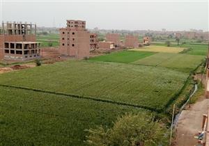 "زراعة الفيوم": الأمطار تهدد محصول القمح بالمحافظة