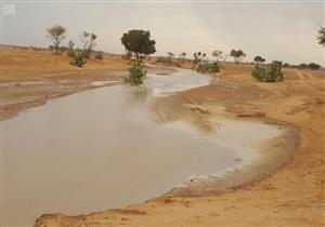 نزل المطر وهذا ما قاله النبي.. تعرف على قصة قحط سنة 6 هجرية