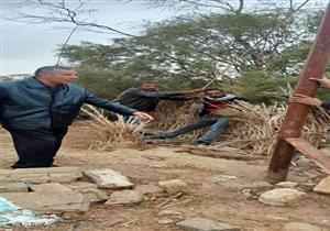 بالصور.. الرياح تسقط أعمدة الإنارة بقرية في طور سيناء