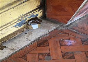 تشميع 3 محلات تجارية والتحفظ على ألعاب ملاهي لمخالفتها قرار الحظر في بني سويف