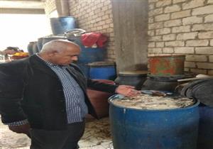 ضبط 4 أطنان ملح ومخللات فاسدة في حملة تموينية بالإسكندرية- صور