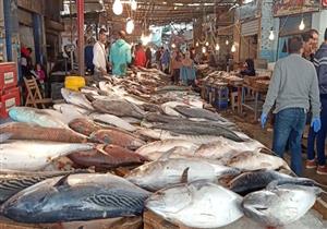 بعد اللحمة عودة لطعام البحر.. أشهر أنواع الأسماك وأسعارها في حلقة السويس - فيديو