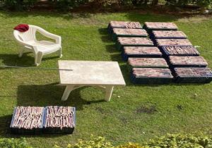 مصدر أمني ينفي ضبط "ثعابين" في فيلا صيني بالقاهرة الجديدة