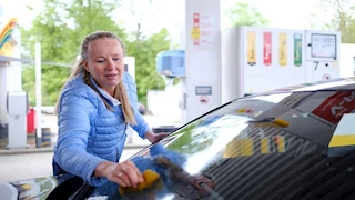 تحذير من استخدام مواد منزلية لإزالة بقايا الحشرات عن زجاج وطلاء السيارة