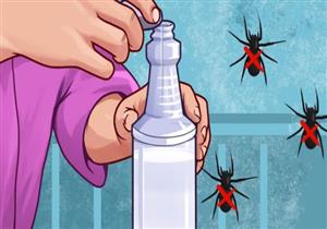 قبل الصيف.. طرق طبيعية للتخلص من جميع الحشرات 