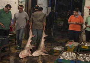 تراجع البلطي والكابوريا.. أسعار الأسماك في سوق العبور اليوم الخميس