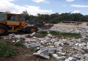 إزالة 97 حالة تعدٍ على الأراضي الزراعية بالمنوفية 