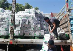 تضامن قنا: توزيع كراتين مواد غذائية على المتضررين من مواجهة كورونا