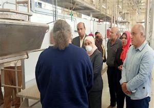 بتكلفة 400 مليون جنيه.. الانتهاء من إجراءات تشغيل مجزر 15 مايو الآلي