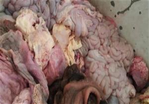 ضبط تاجر بحوزته 6 أطنان "أحشاء حيوانية" في البحيرة