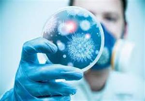 5 خرافات حول أطعمة تعالج المصابين بكورونا.. لا تصدقها