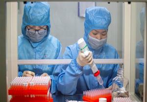 "الصحة العالمية": دخول 3 لقاحات لكورونا طور التجارب السريرية