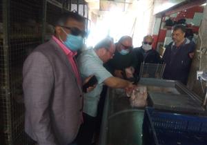 بالصور- ضبط منتجات دواجن غير صالحة داخل محل في بورسعيد