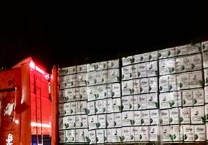 بالصور.. وصول إمدادات بنك الطعام للأسر المعزولة في كفر الشيخ