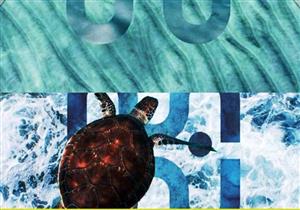 بالصور.. نائب محافظ جنوب سيناء تستعرض آليات تطبيق مشروع الهوية البصرية لشرم الشيخ