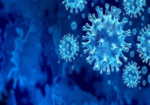 تعافي حالتين من كورونا وتحول نتائج 6 آخرين إلى سلبية بمستشفى كفر الدوار   