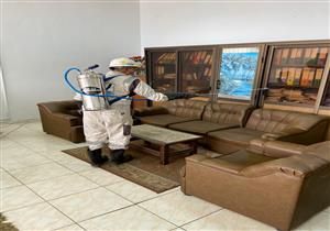 بالصور.. تعقيم وتطهير موانئ بورسعيد للوقاية من "كورونا"