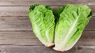 لا تتجاهله على السحور.. فوائد الخس لصحة الجسم في رمضان