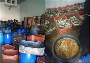 ضبط 2750 كيلو فسيخ فاسد داخل مصنع في البحيرة