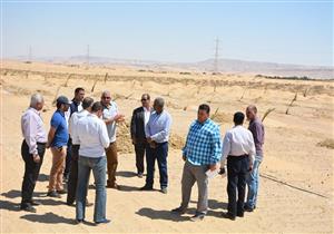 بالصور- محافظ الوادي الجديد يتفقد مزرعة نخيل على مساحة 200 فدان بواحة الخارجة