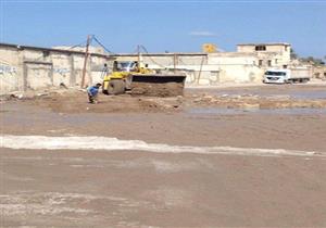  بالصور والأرقام.. كل ما تريد معرفته عن تطوير "الدخيلة" في الإسكندرية