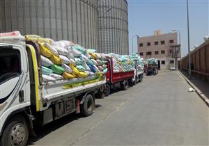انتظام توريد القمح في الدقهلية في أول أيام العيد
