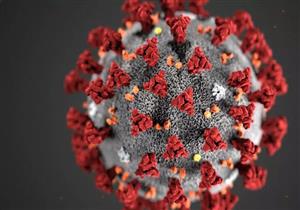 وفاة ممرضة في دار رعاية أطفال في الإسكندرية إثر إصابتها بكورونا