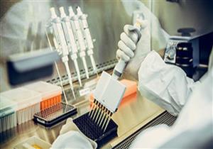 أمل جديد لعلاج كورونا.. خلايا جسدية تحارب الفيروس