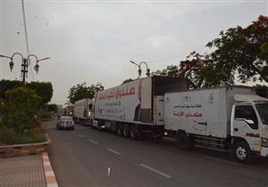 وصول 21,5 طن مواد غذائية مدعمة لمواطني جنوب سيناء 