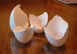 استشاري مناعة تكشف دور استخدام قشر البيض كمكمل غذائي