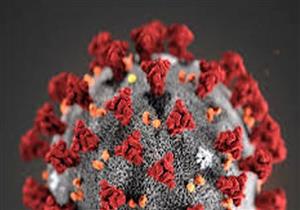 بينهم 4 ممرضات.. البحيرة تسجل 17 إصابة جديدة بكورونا