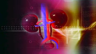 هل الفواكه المجففة آمنة لمرضى الكلى في رمضان؟.. مفاجأة