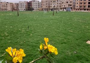 استكمال أعمال صيانة المسطحات الخضراء والأشجار بمدن الشيخ زايد والشروق ودمياط الجديدة