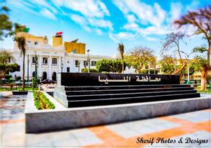 "المنيا" الأولى في تنفيذ برنامج “مشروعك"