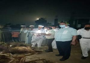 قبل بيعها.. ضبط خِراف مذبوحة بعد نفوقها في البحيرة "صور"