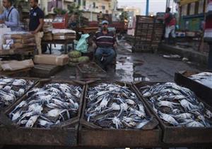 بسبب "موجة الطقس".. ارتفاع أسعار الأسماك في دمياط