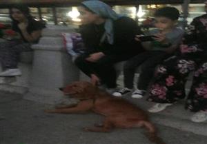 صور.. أول تطبيق لضوابط اصطحاب الكلاب في شوارع الإسكندرية